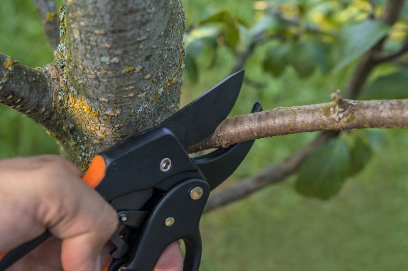 Pruning Tools and Methods
