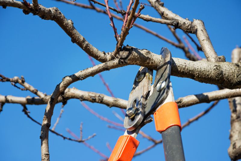 Structural Pruning Techniques